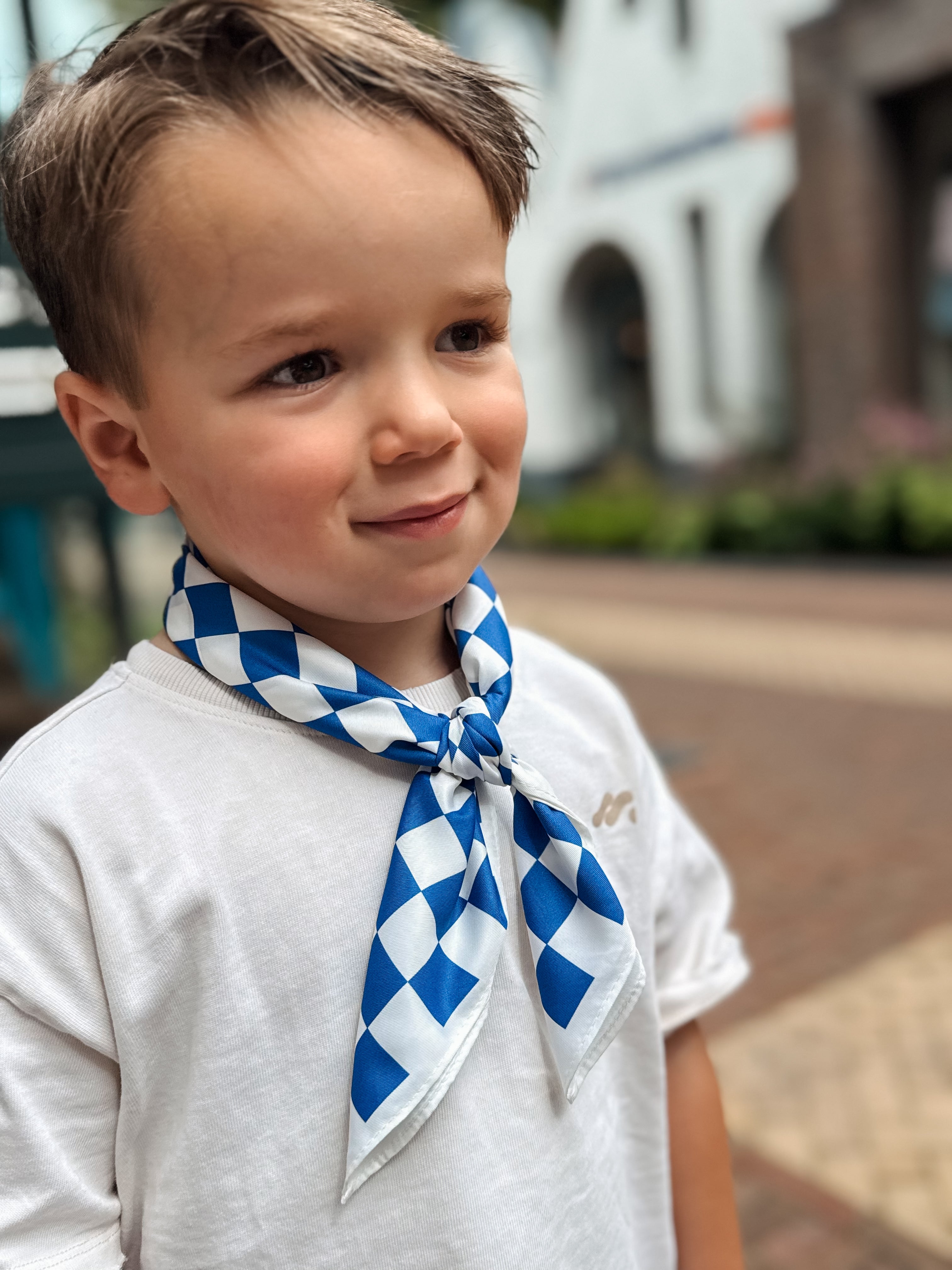 Sjaaltje Blauw Geruit