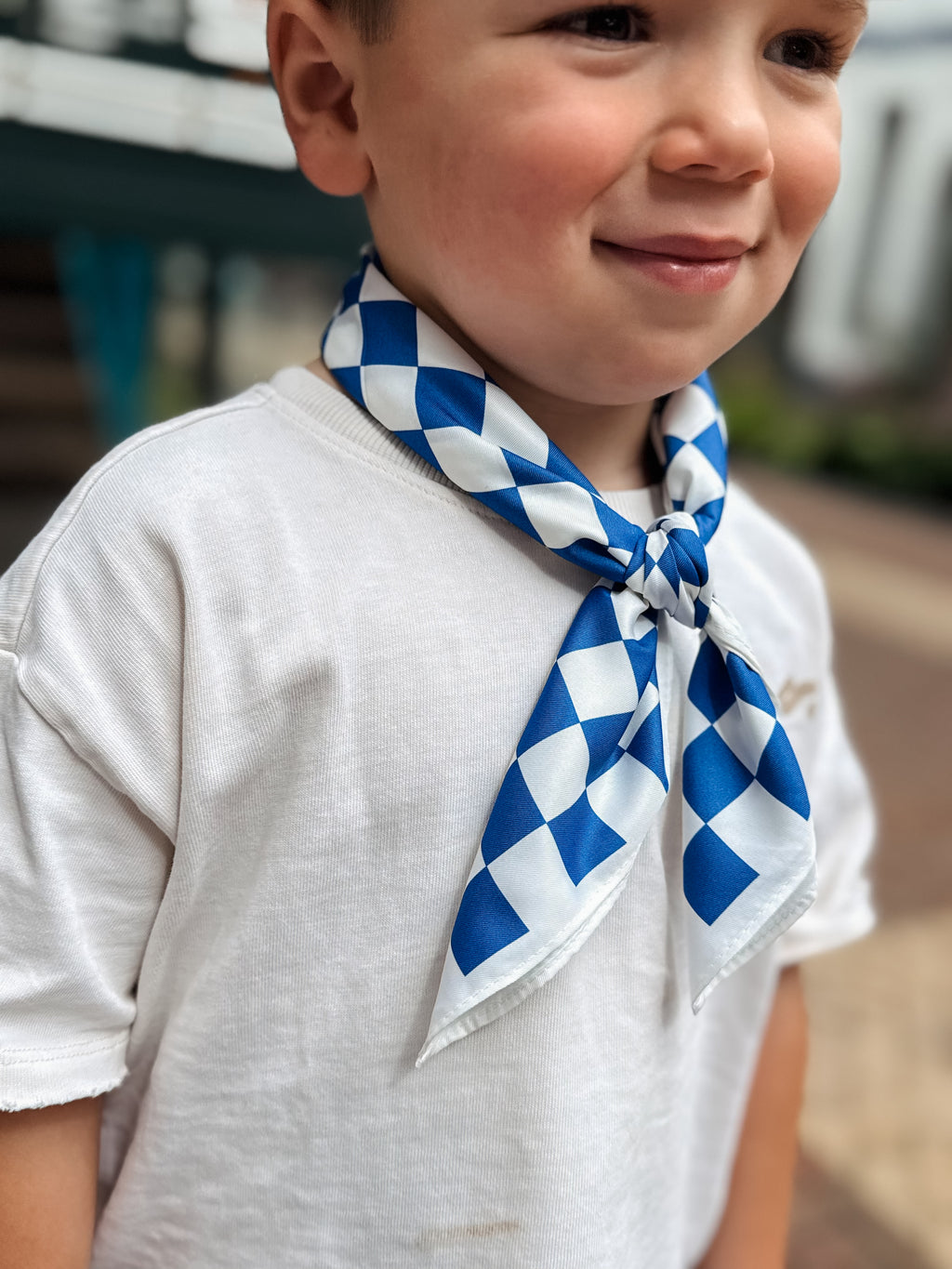 Sjaaltje Blauw Geruit