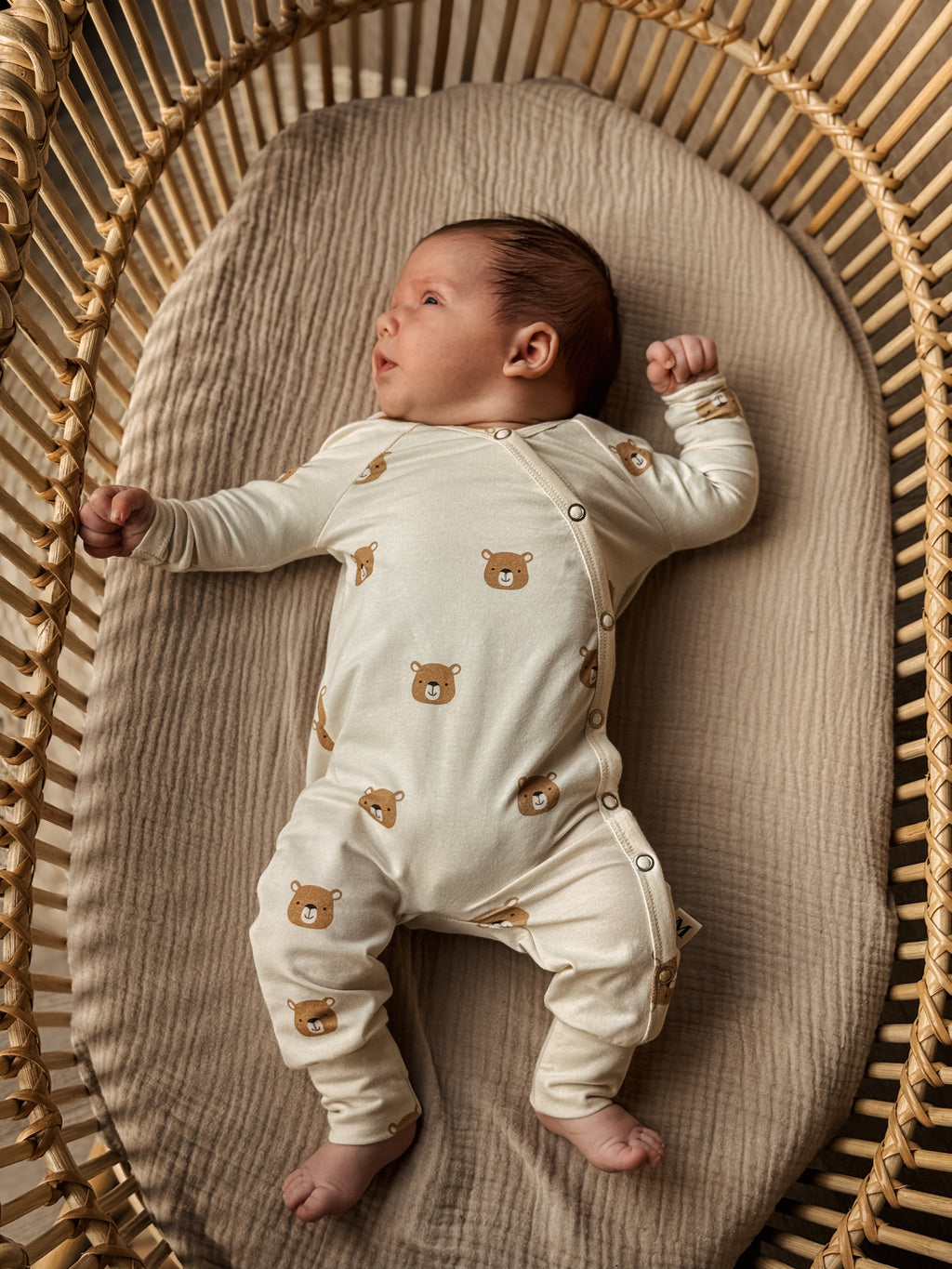 Boxpakje - Beren Naturel