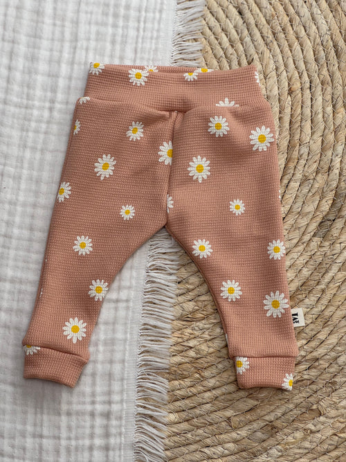 Daisy Dusty Salmon