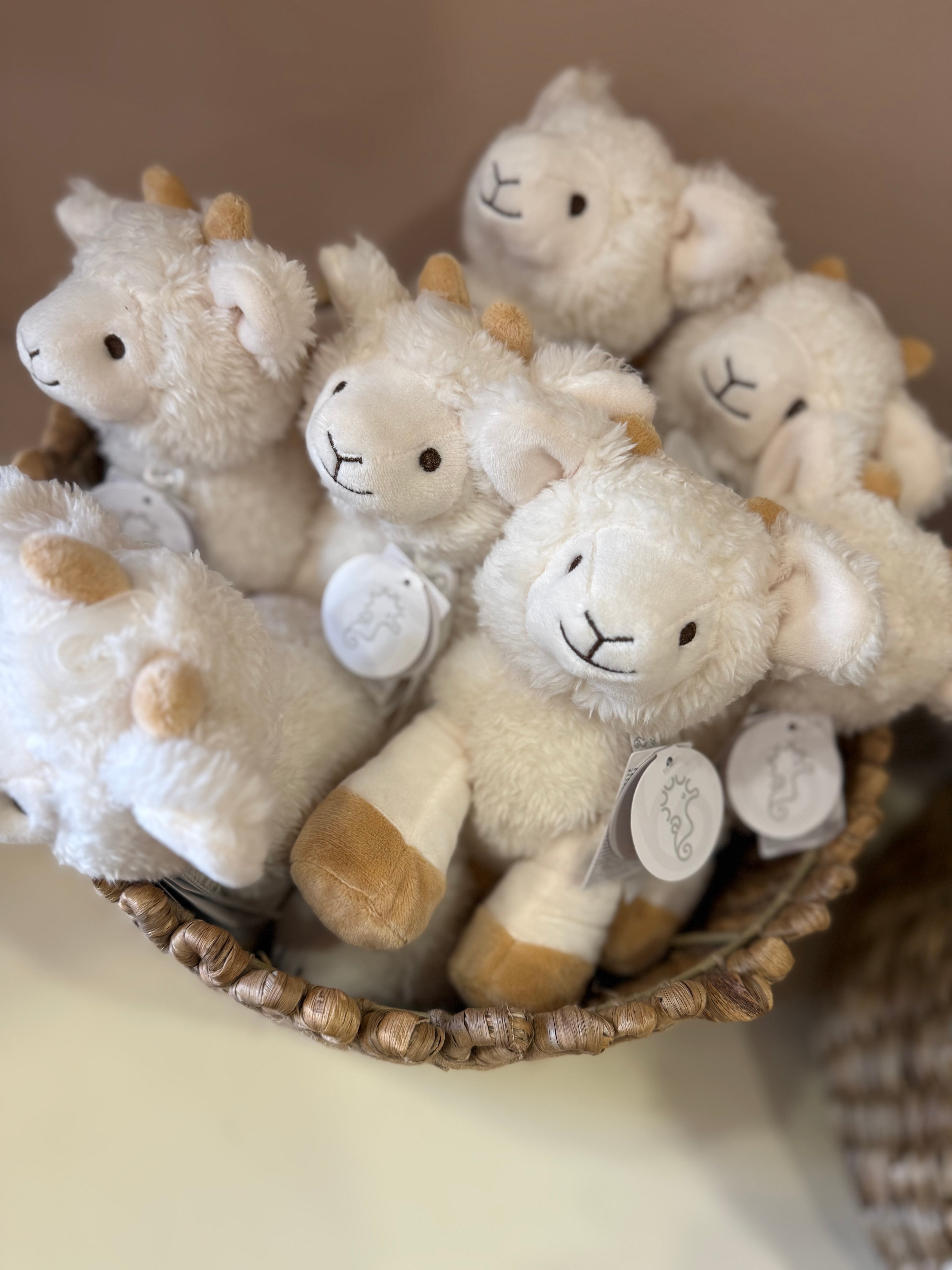 Happy Horse Churro Sheep