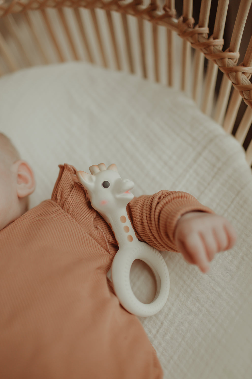 Sophie de Giraf - Bijtspeeltje