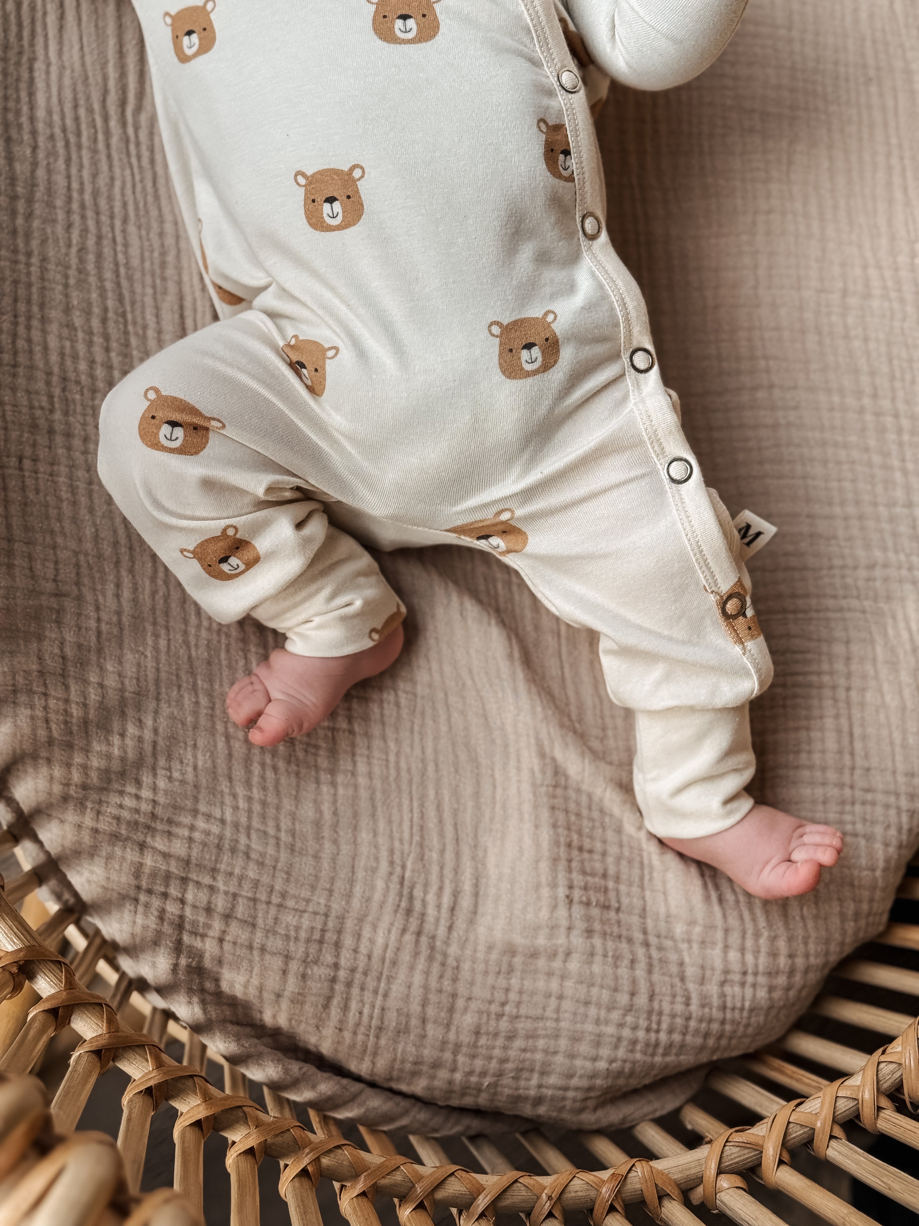 Boxpakje - Beren Naturel