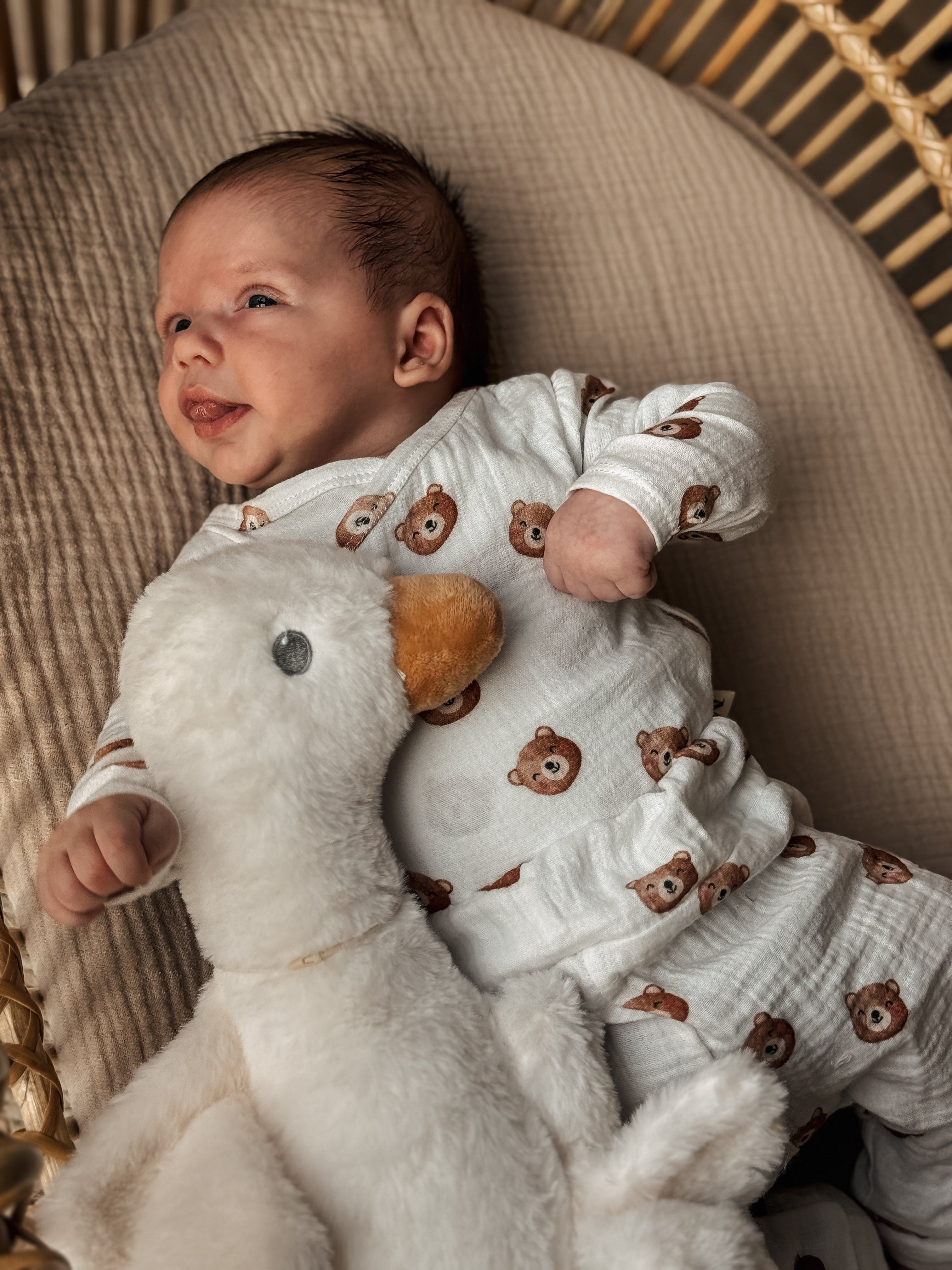 Overslag Beren Hydrofiel