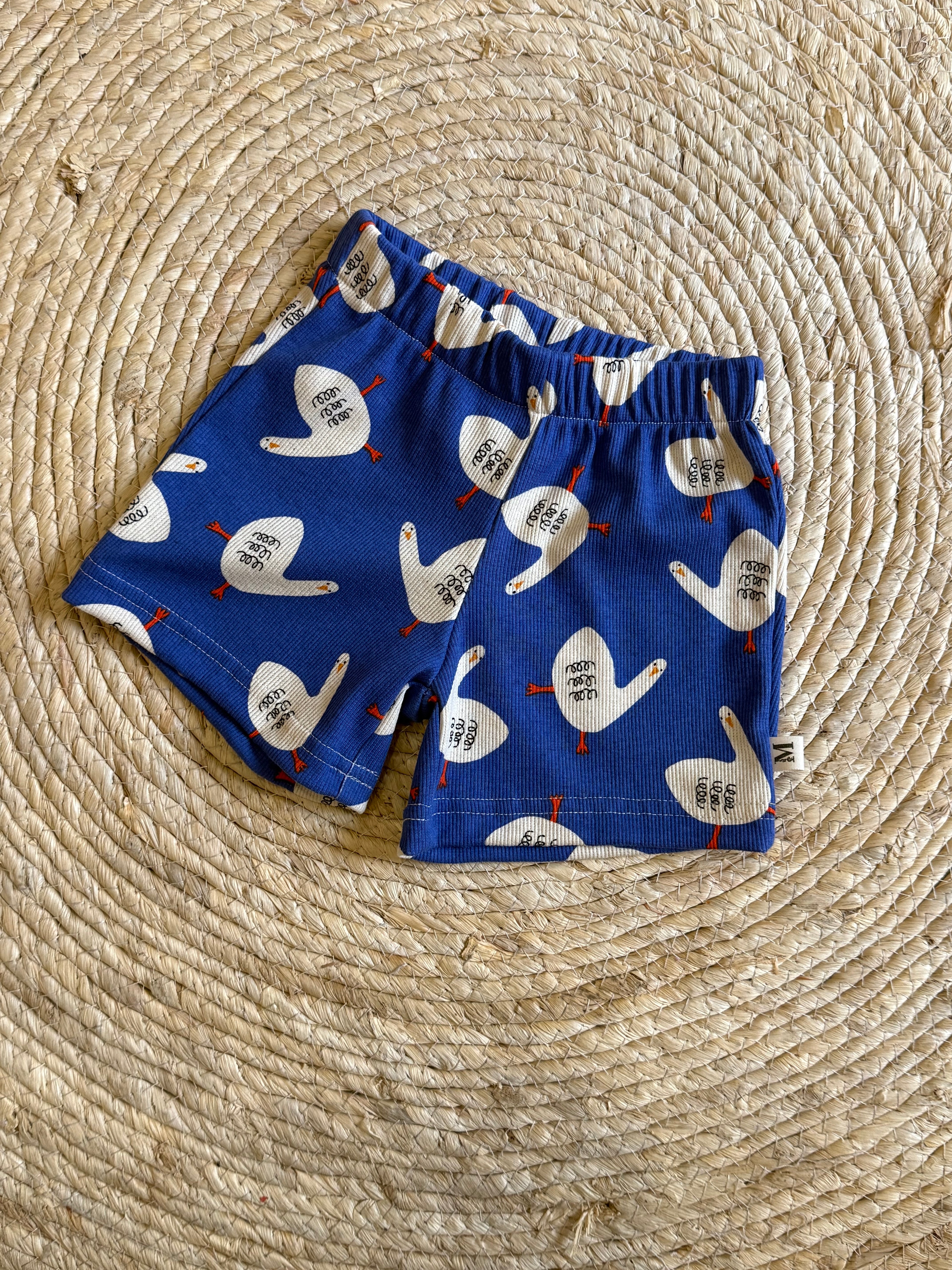 Short Gans Blue Rib