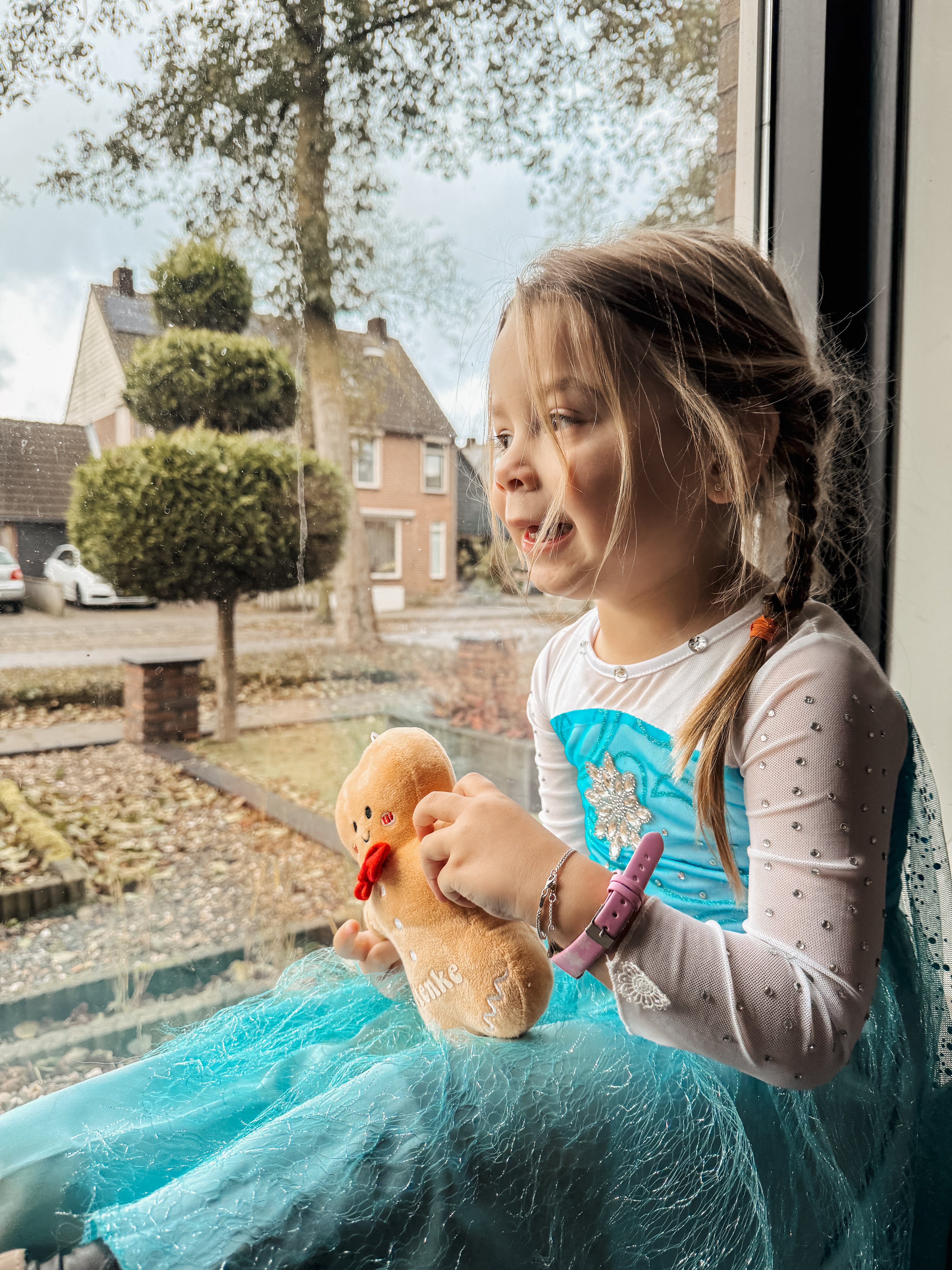 Gingerbread knuffel met naam