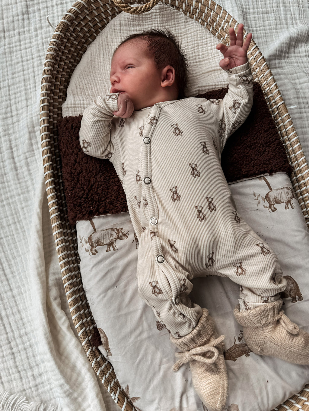 Boxpakje - Teddybear