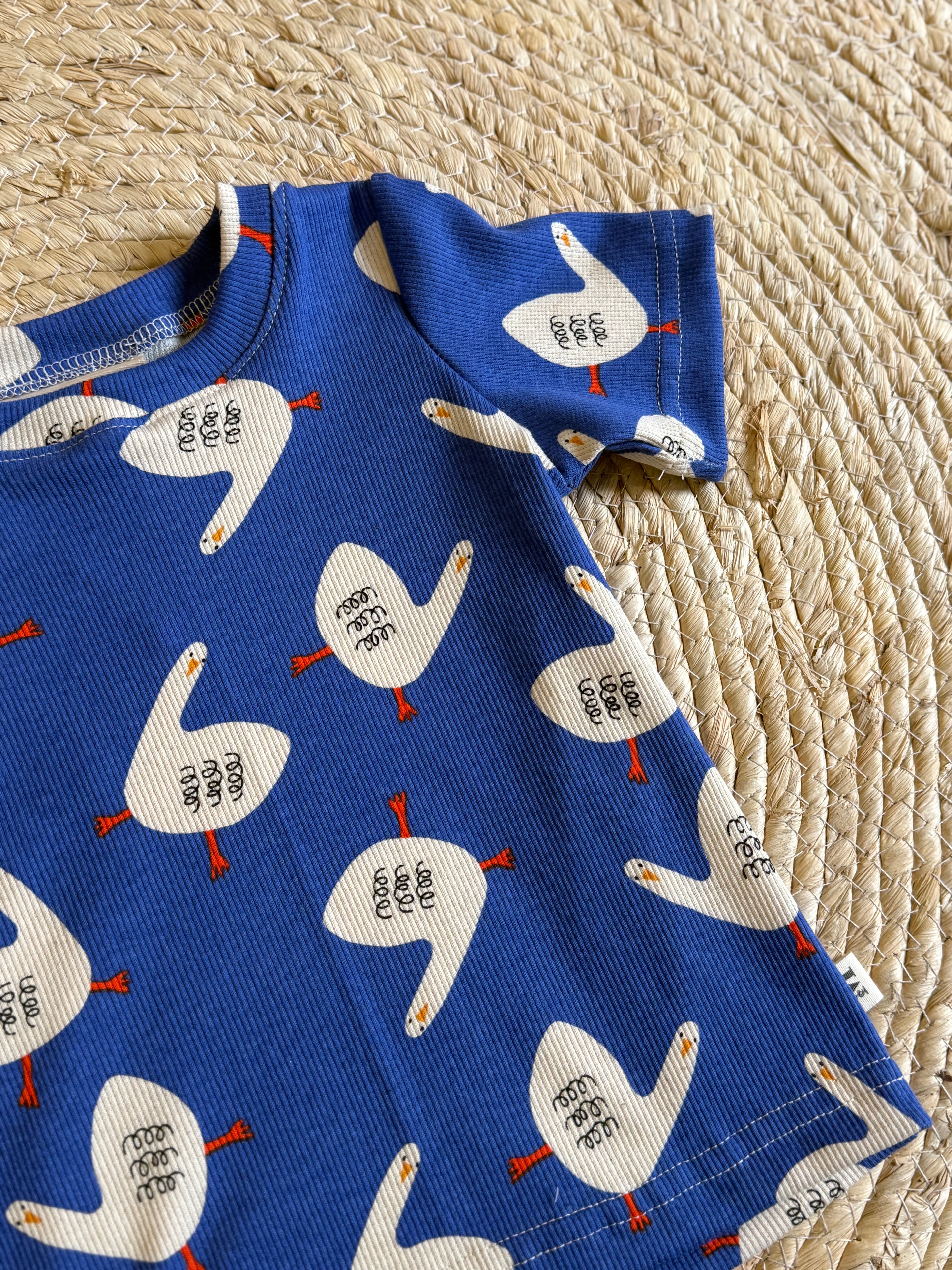 Shirt Gansjes Blue Rib